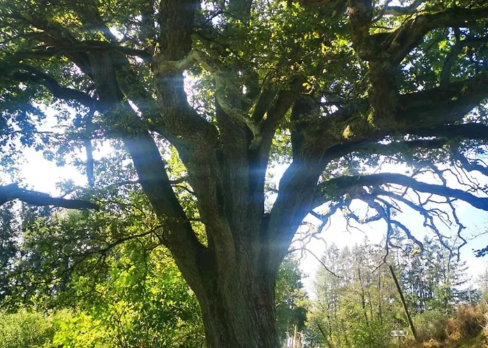 アパート Kleiner Gluecksort,